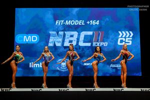 FIT-MODEL +164 раунд 1